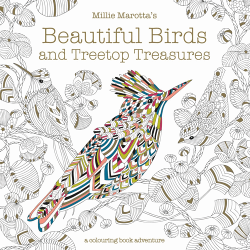 Beautiful Birds Colouing Book
