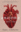 Anatomy *Repack*
