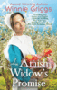 An Amish Widows Promise