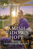 An Amish Widows Hope