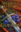 The Champion Trade P/Back